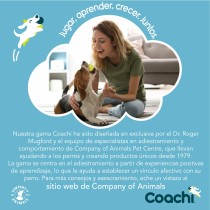 Laisse pour Chien Coachi Bleu 2,5 m Formation