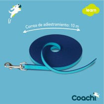 Trainingsgurt Coachi Blau Ausbildung