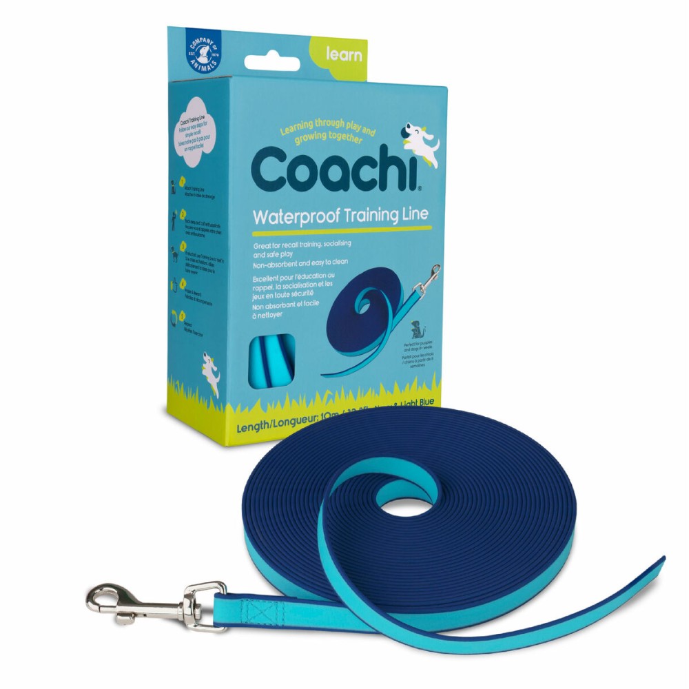 Trainingsgurt Coachi Blau Ausbildung