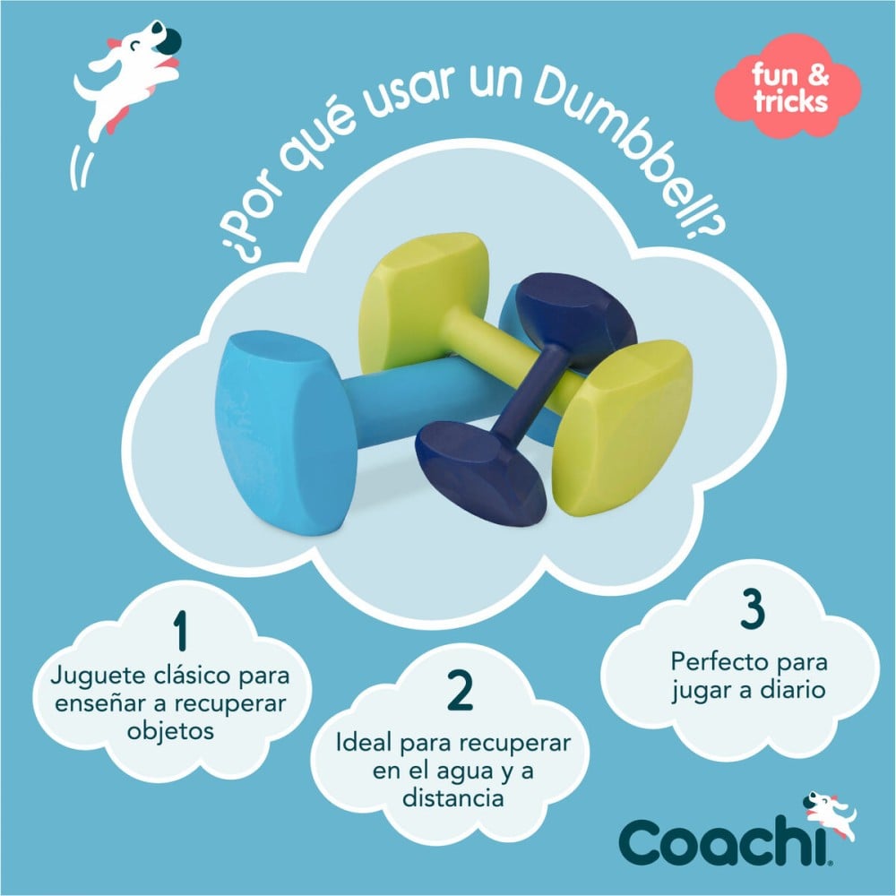 Dumbbell Coachi TRAINING DUMBBELL Blue L Plastic