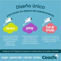 Trainingsspielzeug Coachi CHASE & TREAT Blau