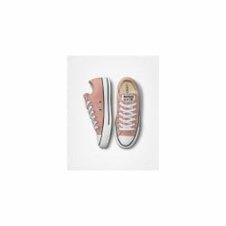 Herren Sneaker Converse Chuck Taylor All Star Beige