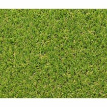 Gazon artificiel Exelgreen Campus 2D 1 x 5 m 25 mm