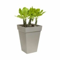 Blumentopf Elho Anthrazit Polypropylen Kunststoff karriert Moderne 37 cm