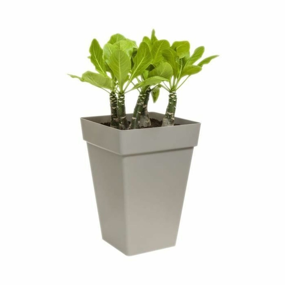 Blumentopf Elho Anthrazit Polypropylen Kunststoff karriert Moderne 37 cm