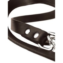 Laisse pour Chien Hunter Marron 2 m Réglable Cuir