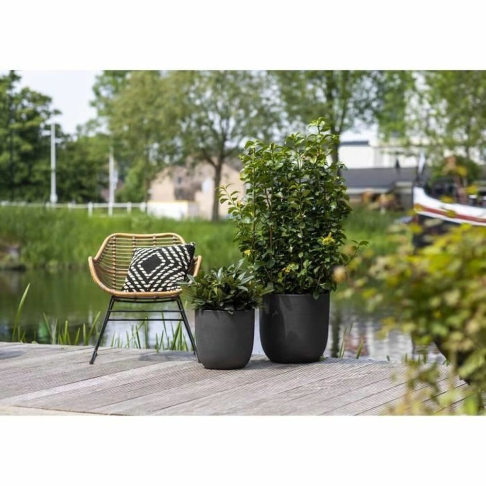 Planter Capi Europe Black Plastic Oval Ø 43 cm