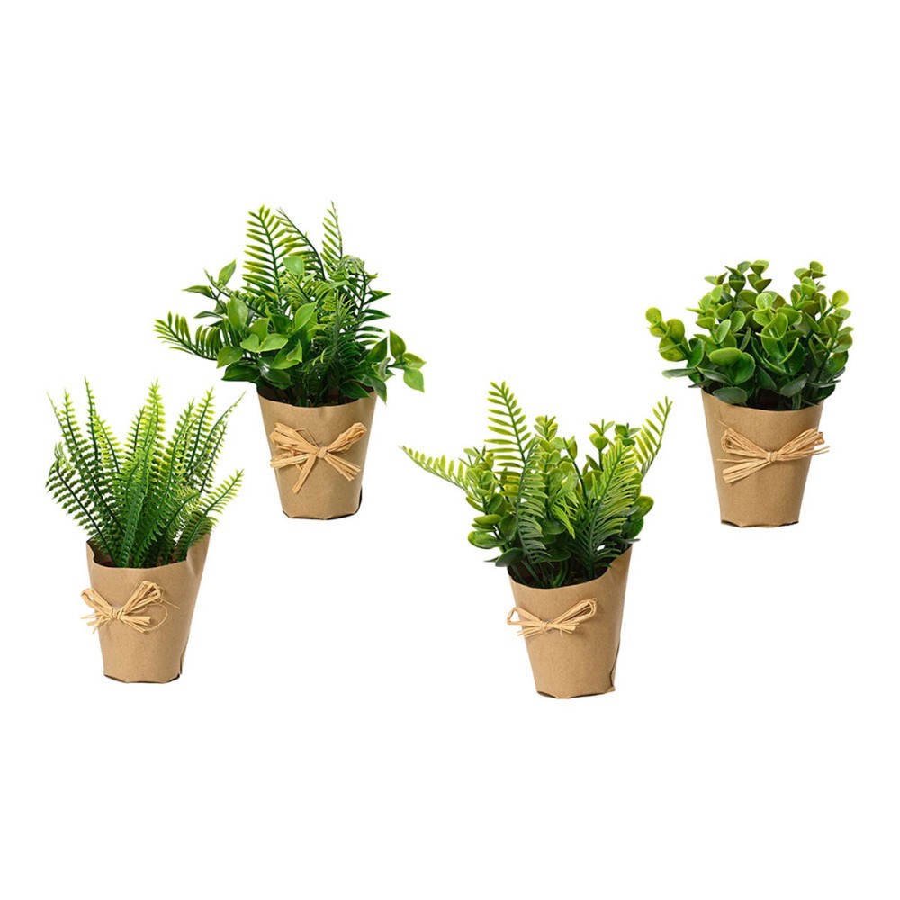 Decorative Plant EDM 18 cm