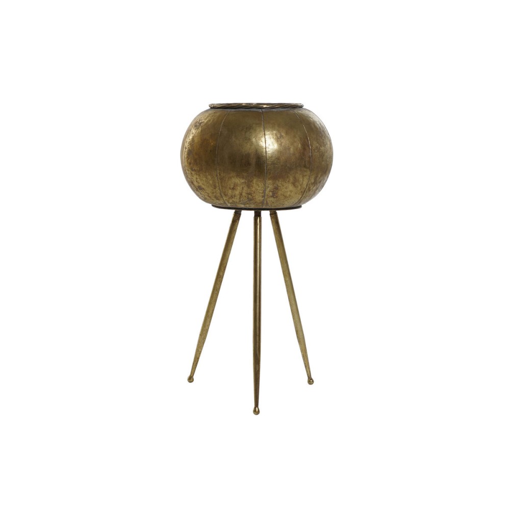 Blumentopf Home ESPRIT Gold Metall Moderne 30 x 30 x 60 cm