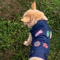 Dog coat Marvel