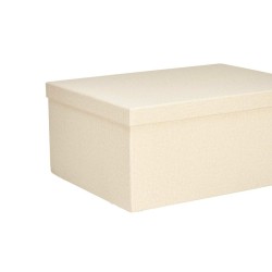 Jeu de Caisses de Rangement Empilables Naturel Carton (2 Unités)