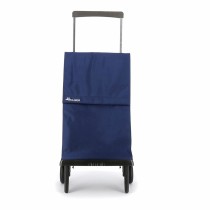 Panier à Courses Rolser Plegamatic Original 40 L Pliable