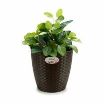 Cache-pot Stefanplast Plastique 24 x 22 x 24 cm (6 Unités)