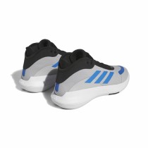 Basketballschuhe für Erwachsene Adidas Bounce Legends Grau Hellgrau