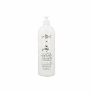 Shampooing Purificant Exitenn (1000 ml) (1 L)