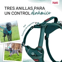 Hundegeschirr Company of Animals türkis S 28-42 cm