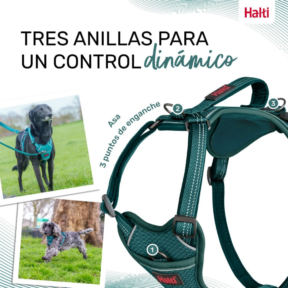 Hundegeschirr Company of Animals türkis S 28-42 cm