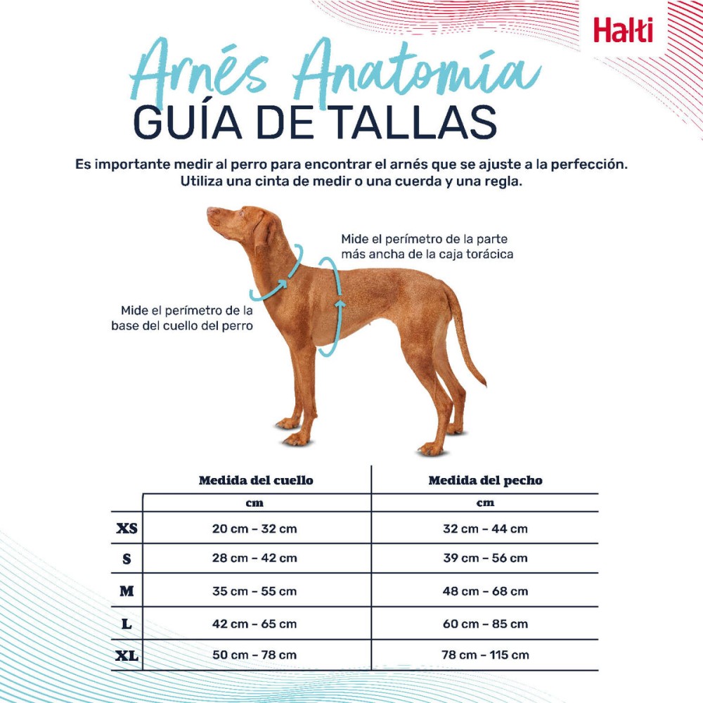 Hundegeschirr Company of Animals türkis S 28-42 cm