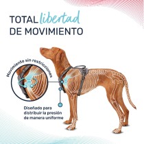 Hundegeschirr Company of Animals türkis S 28-42 cm