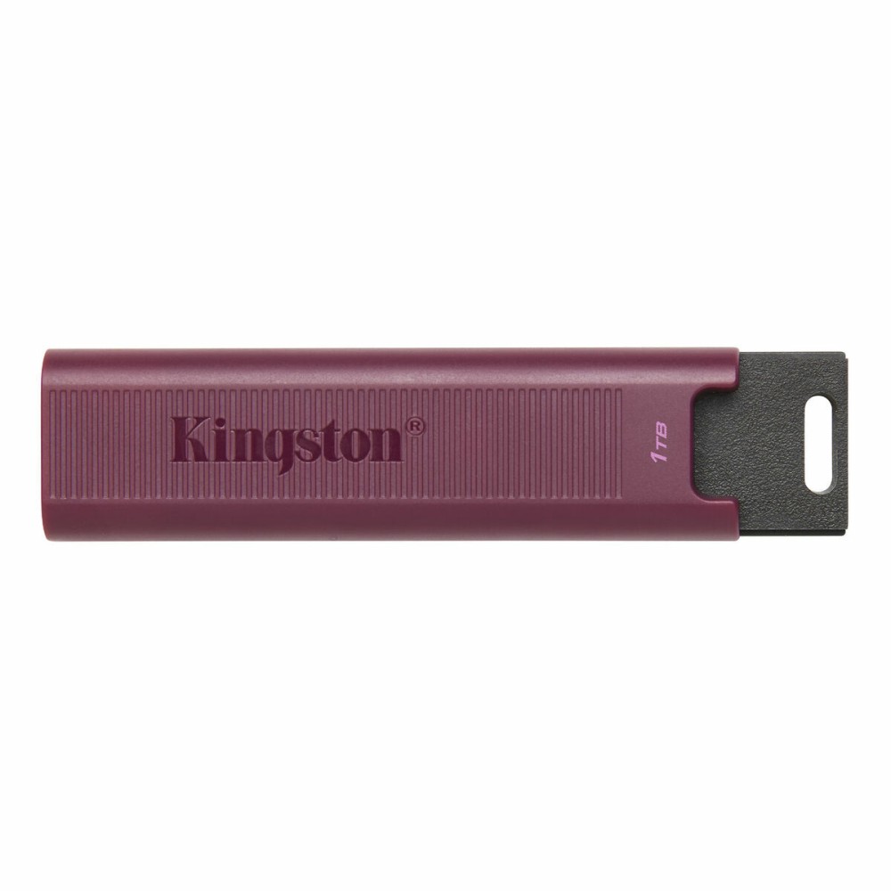 USB stick Kingston Max Red 1 TB (1 Unit)