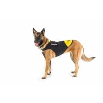 Dog Harness Julius K9 IDC L/XL 2