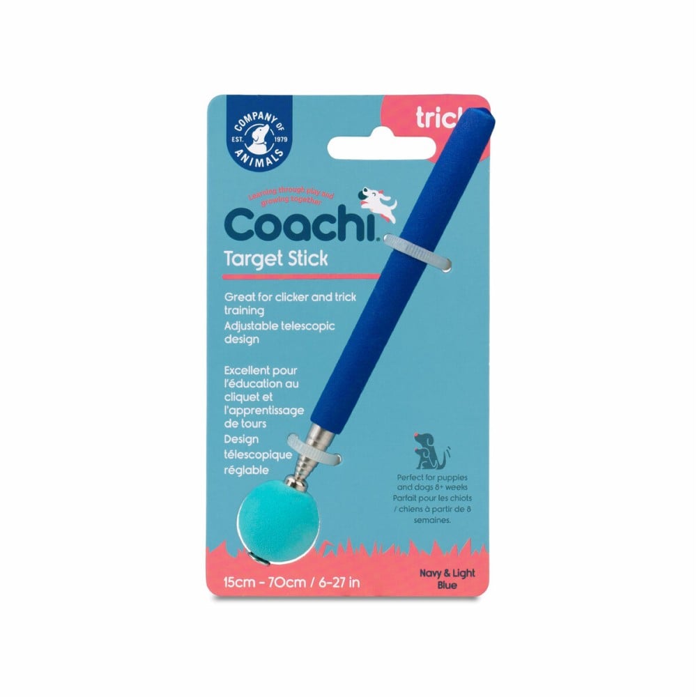 Training toy Coachi Stick Blue