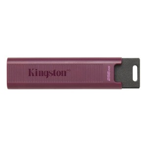 USB stick Kingston Max Red 256 GB (1 Unit)