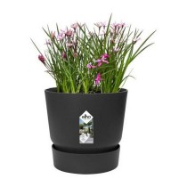 Plant pot Elho Greenville Black Plastic Circular Ø 30 cm Ø 29,5 x 27,8 cm