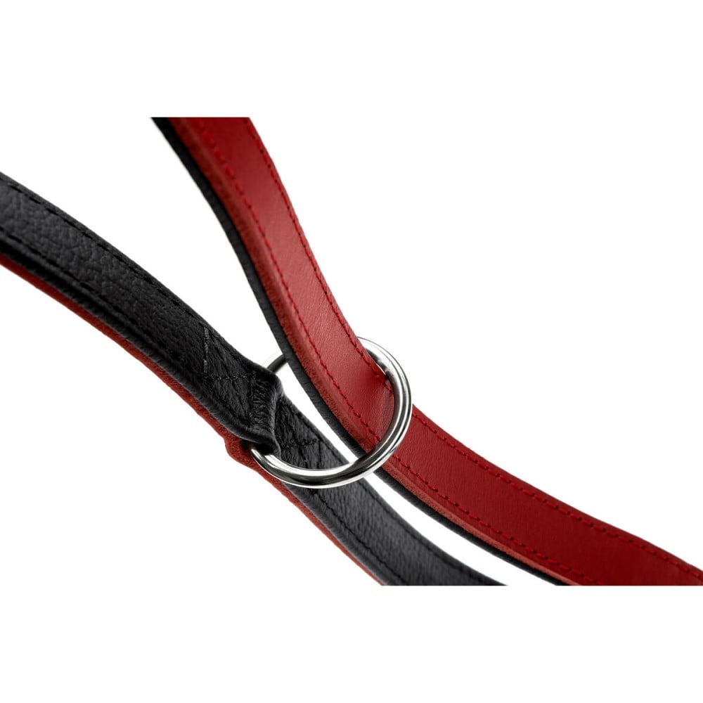 Dog Lead Hunter Red 2 m Adjustable