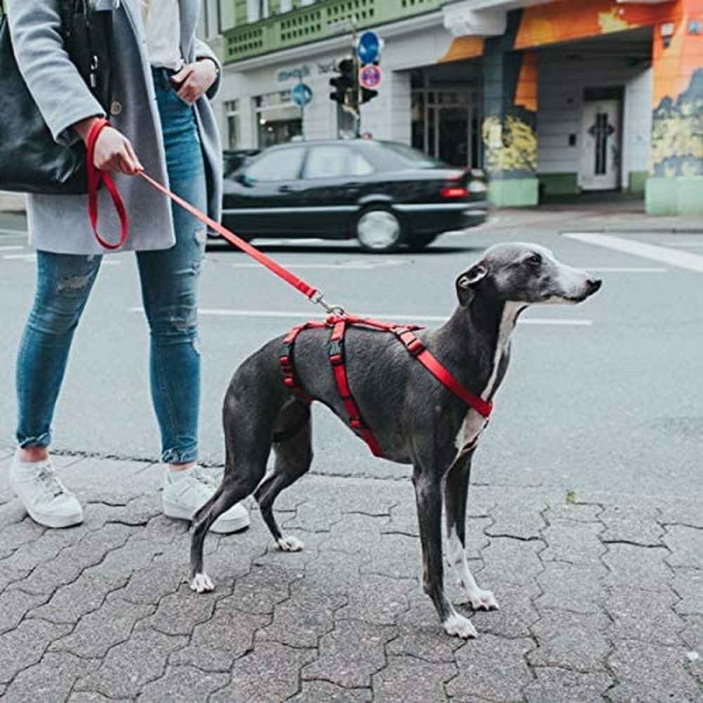 Harnais pour Chien Hunter 48-70 cm Rouge S/M 36-51 cm