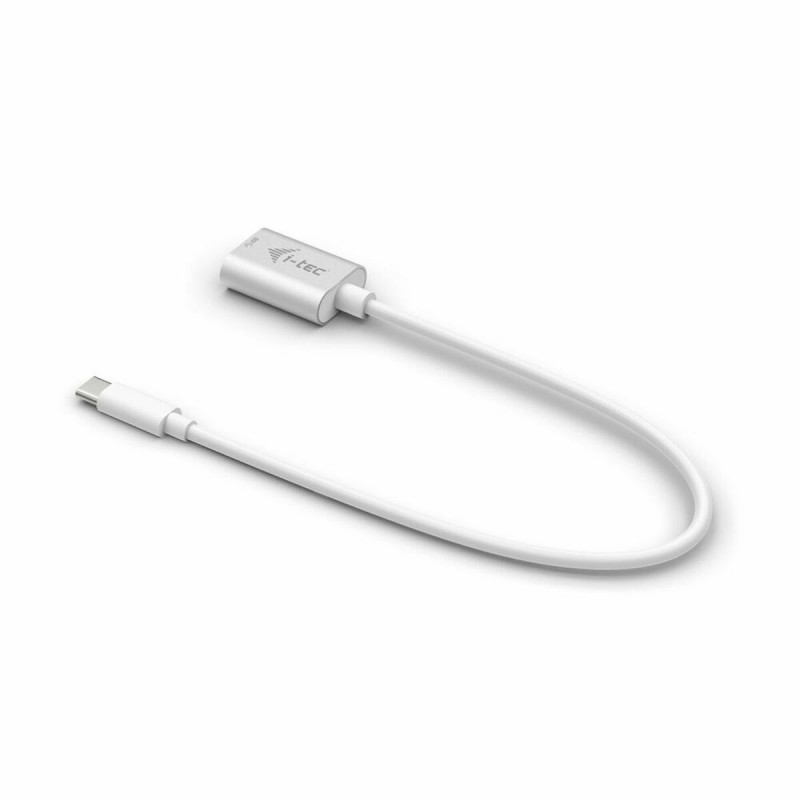 Câble USB A vers USB C i-Tec C31ADA 20 cm