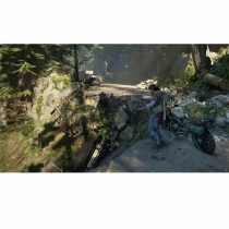 Jeu vidéo PlayStation 4 Sony Days Gone