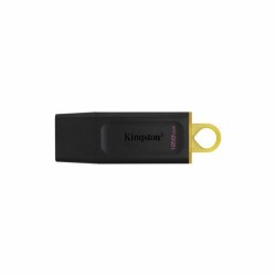 USB stick Kingston DataTraveler DTX Black USB stick