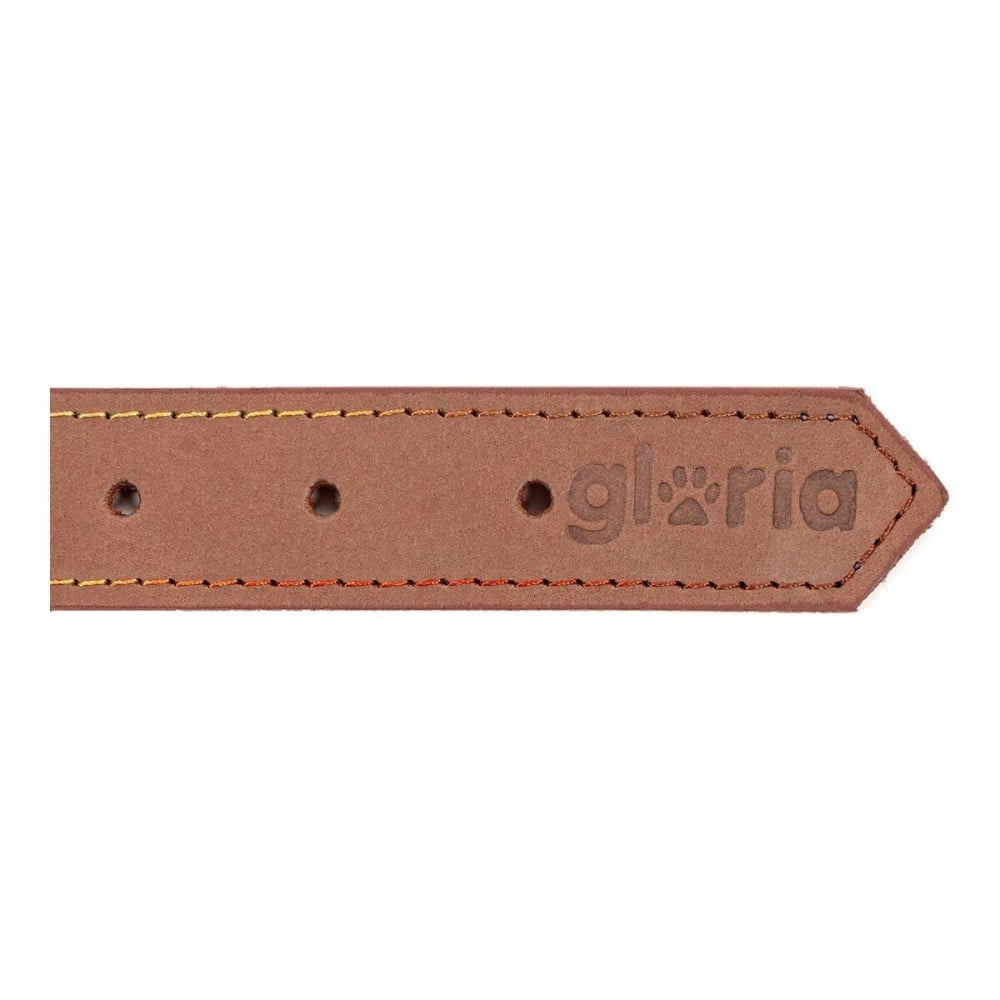 Hundehalsband Gloria Oasis Braun 55 cm (55 x 2,5 cm)