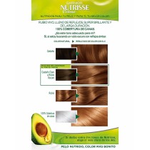 Coloration Permanente en Crème Garnier Nutrisse (3 Unités)