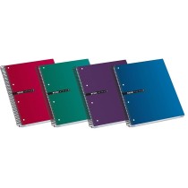 Cahier ENRI Multicouleur A4 160 Volets (5 Unités)