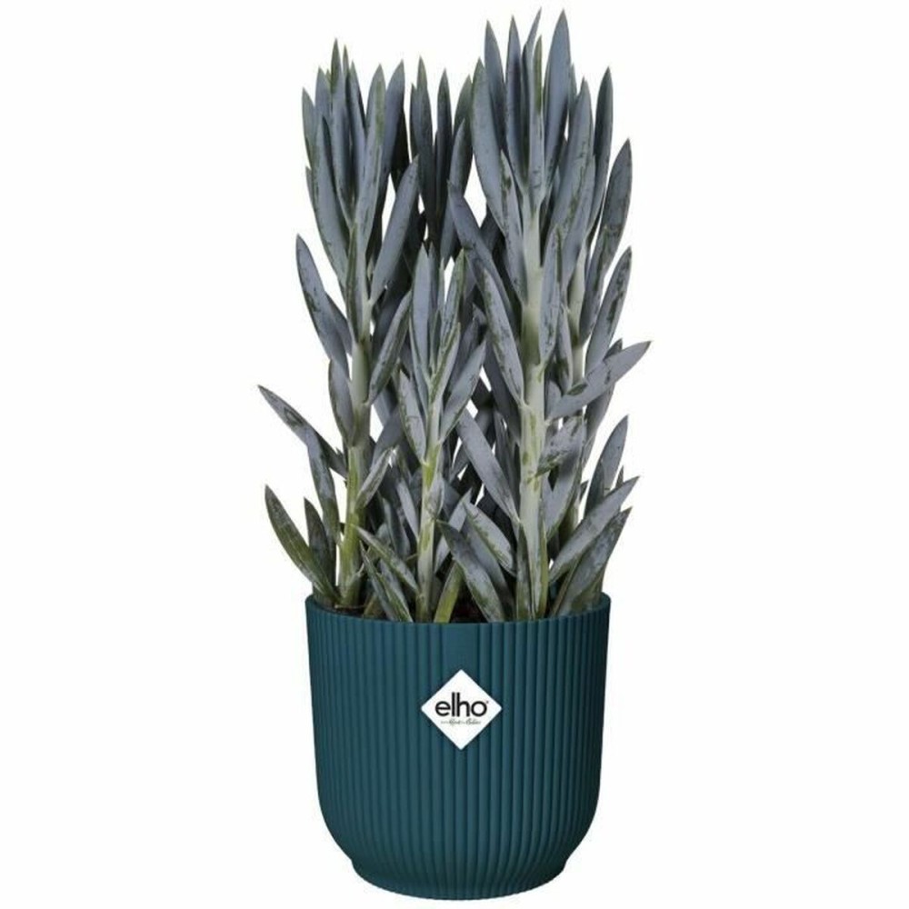 Plant pot Elho   Ø 22 cm Circular Dark blue Plastic