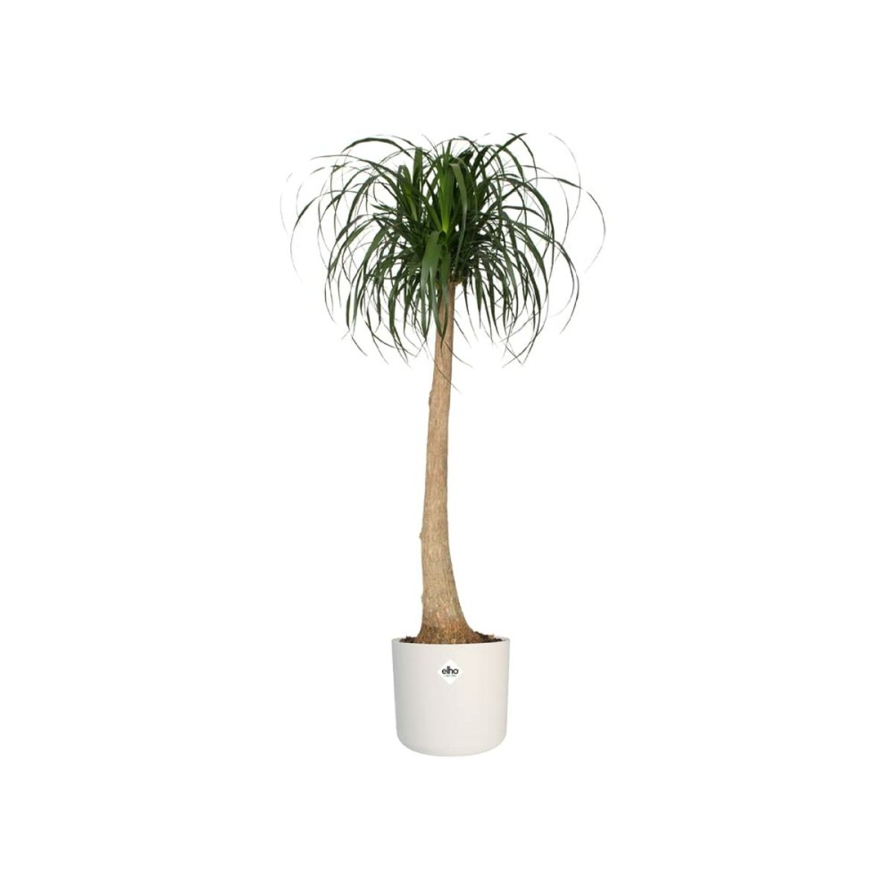 Plant pot Elho White Green Plastic 30 x 30 x 28 cm