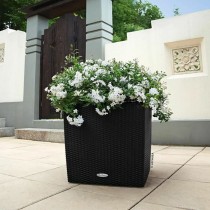 Self-watering flowerpot Lechuza Black 49 x 49 x 49,5 cm