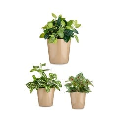 Set de pots Ø 14 cm Ø 22 cm Ø 17 cm Cónica 3 Pièces Beige