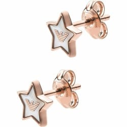 Ladies' Earrings Emporio Armani EG3395221