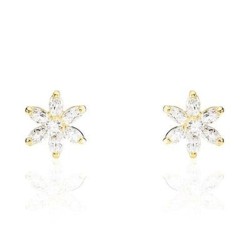 Boucles d´oreilles Femme Stroili 14017896