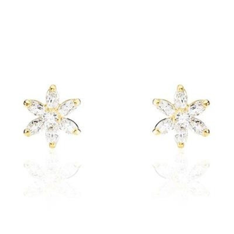 Boucles d´oreilles Femme Stroili 14017896