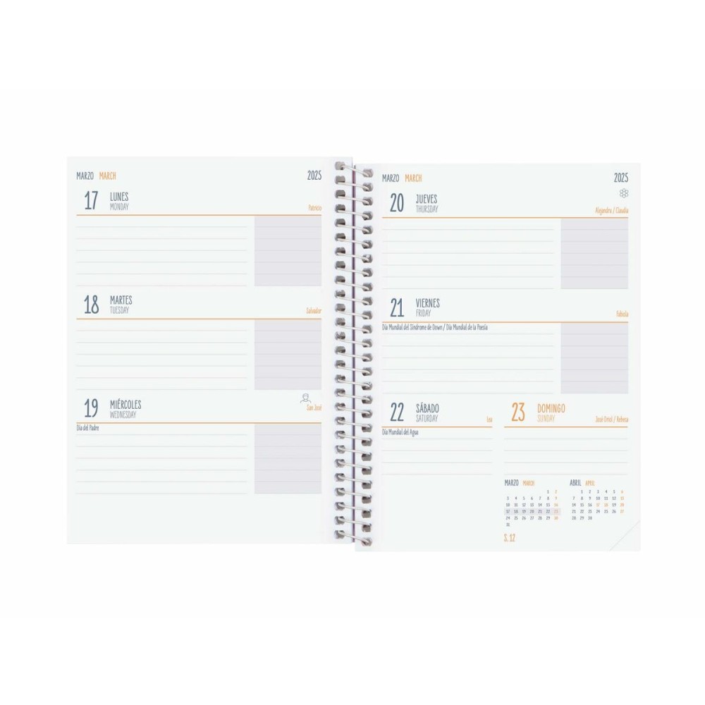 Agenda Finocam COOL Lila 1/8 12 x 16,4 cm 2024-2025