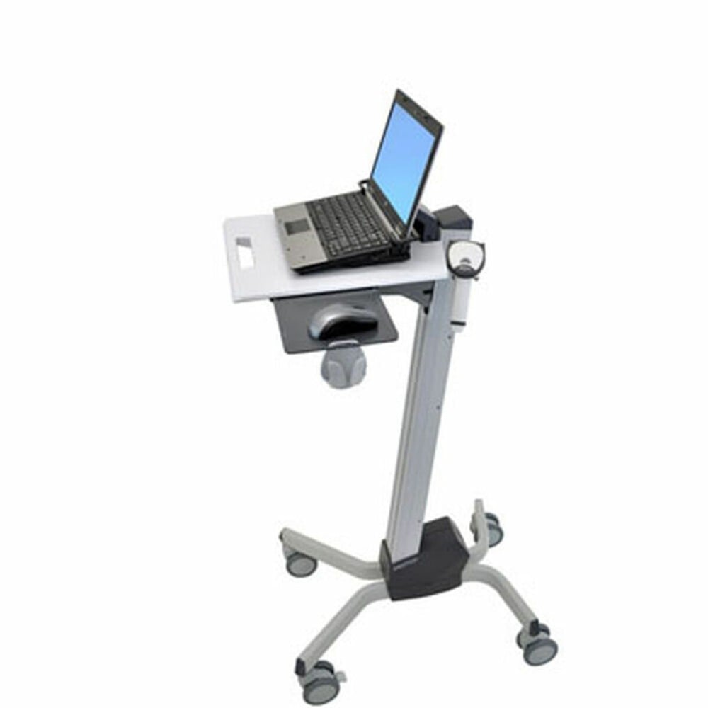 Cart Ergotron 24-205-214 Grey