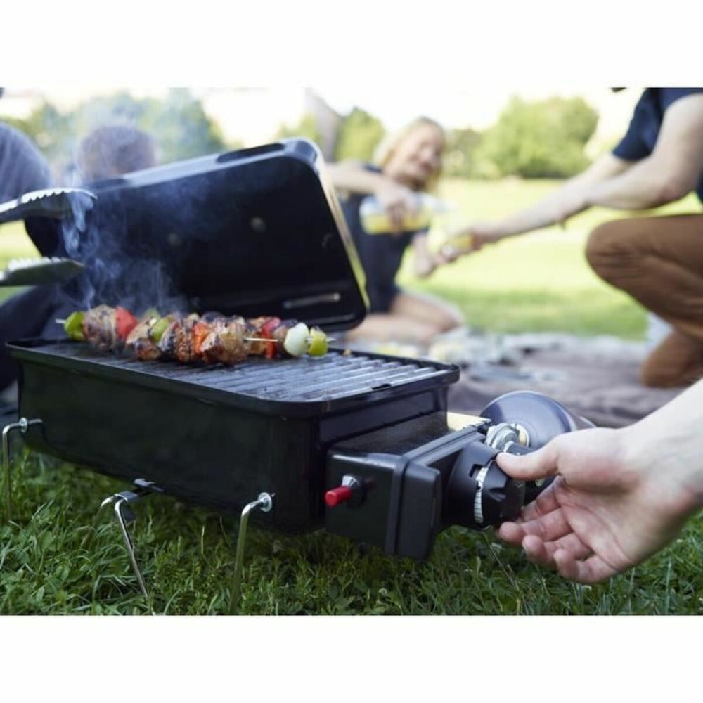 Barbecue Weber Go-anywhere Enamelled Steel