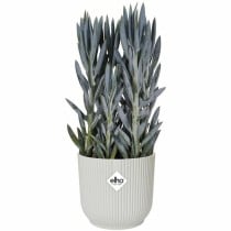 Pot Elgato Blanc Ø 30 cm Plastique Rond Moderne