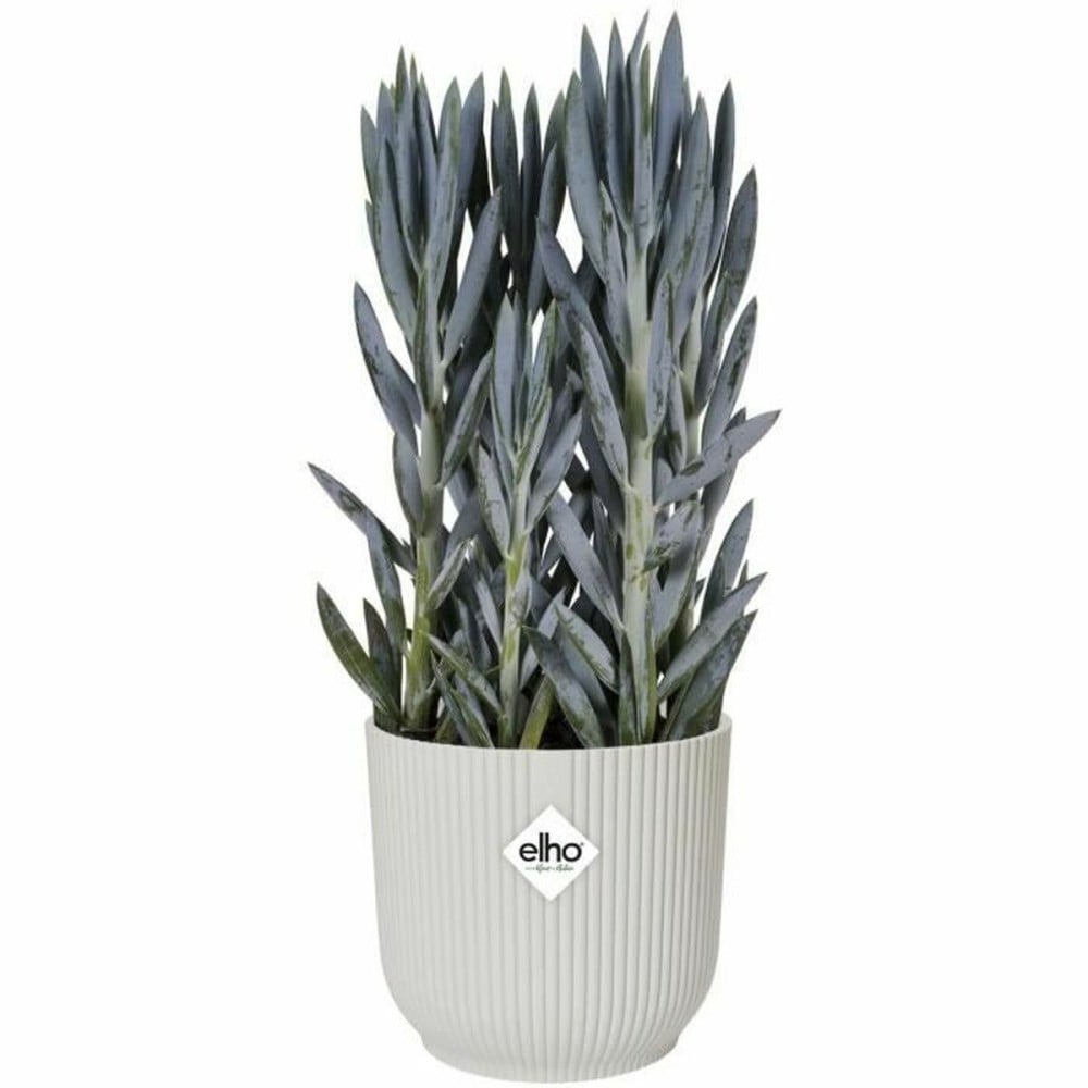 Blumentopf Elgato Weiß Ø 30 cm Kunststoff rund Moderne