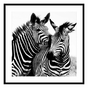 Painting Zebra Crystal (2 x 50 x 50 cm)