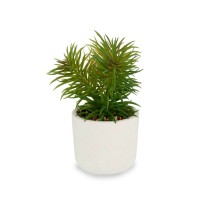 Decorative Plant White Green (14 x 20 x 14 cm) (12 Units)